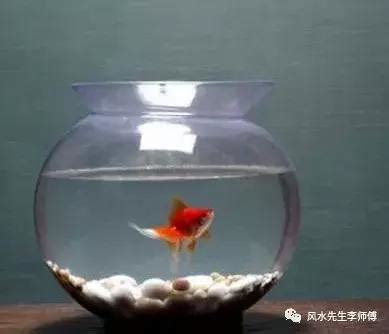 做生意養魚